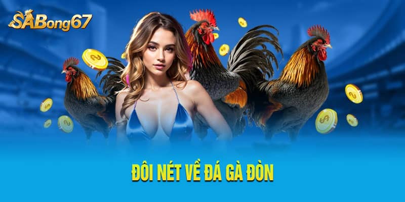 Đá gà đòn ưu tiên những chiến kê có sức bền cao Đá gà đòn ưu tiên những chiến kê có sức bền cao