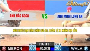 TRẬN 1 CPC3 25/5/2026