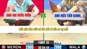 TRẬN 10 CPC2 26/5/2026