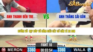 TRẬN 10 CPC2 31/5/2026