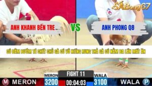 TRẬN 11 CPC2 31/5/2026