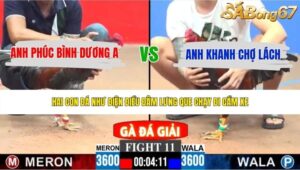 TRẬN 11 CPC3 25/5/2026
