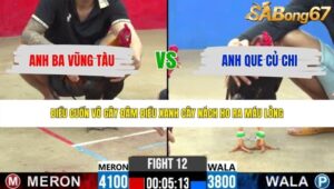 TRẬN 12 CPC2 31/5/2026