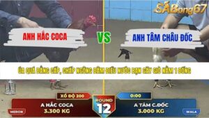 TRẬN 12 THƯỜNG PHƯỚC 24/5/2026