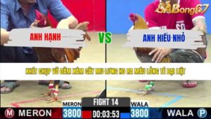 TRẬN 14 CPC2 26/5/2026