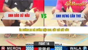 TRẬN 14 CPC2 28/5/2026