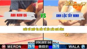 TRẬN 14 CPC3 23/5/2026