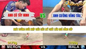 TRẬN 15 CPC5 26/5/2026