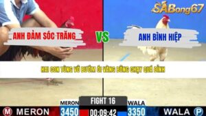 TRẬN 16 CPC2 30/5/2026