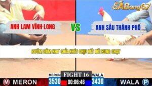 TRẬN 16 CPC3 24/5/2026