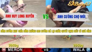 TRẬN 16 CPC5 26/5/2026