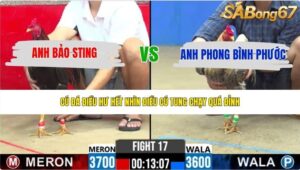 TRẬN 17 CPC2 30/5/2026
