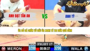 TRẬN 17 CPC3 28/5/2026