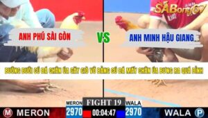 TRẬN 19 CPC3 23/5/2026