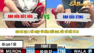 TRẬN 2 CPC2 27/5/2026
