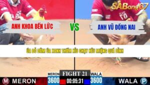 TRẬN 21 CPC3 24/5/2026