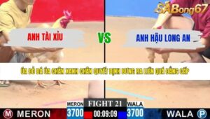 TRẬN 21 CPC3 28/5/2026