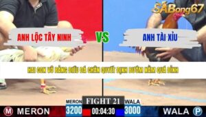 TRẬN 21 CPC3 31/5/2026
