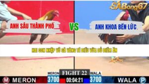 TRẬN 22 CPC3 24/5/2026