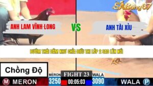 TRẬN 23 CPC3 24/5/2026