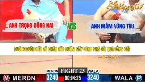 TRẬN 23 CPC3 28/5/2026