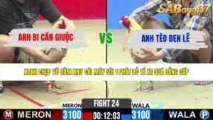 TRẬN 24 CPC2 22/5/2026