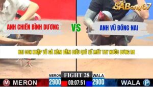 TRẬN 28 CPC3 23/5/2026