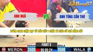 TRẬN 3 CPC2 23/5/2026