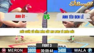 TRẬN 3 CPC2 27/5/2026
