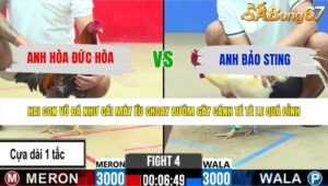 TRẬN 4 CPC2 29/5/2026