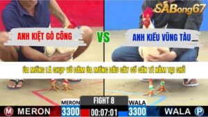TRẬN 8 CPC2 31/5/2026