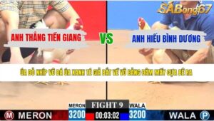 TRẬN 9 CPC3 24/5/2026