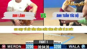 TRẬN 1 CPC2 5/6/2026