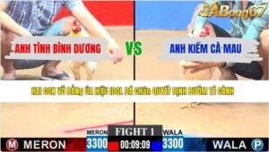 TRẬN 1 CPC3 6/6/2026