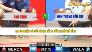 TRẬN 10 CPC3 8/6/2026