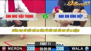 TRẬN 11 CPC2 1/6/2026
