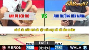 TRẬN 11 CPC2 3/6/2026