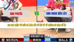 TRẬN 11 CPC3 8/6/2026