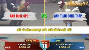 TRẬN 11 THƯỜNG PHƯỚC 7/6/2026