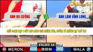 TRẬN 14 CPC3 4/6/2026