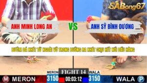 TRẬN 14 CPC3 6/6/2026