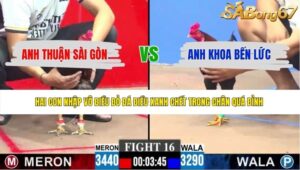 TRẬN 16 CPC3 7/6/2026