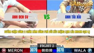 TRẬN 2 CPC3 4/6/2026