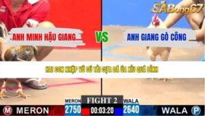 TRẬN 2 CPC3 8/6/2026