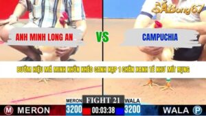 TRẬN 21 CPC3 4/6/2026