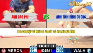 TRẬN 21 CPC3 6/6/2026