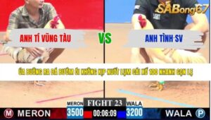 TRẬN 23 CPC3 4/6/2026