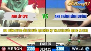 TRẬN 25 CPC2 1/6/2026