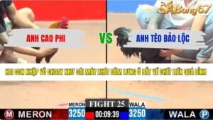 TRẬN 25 CPC3 6/6/2026