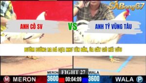 TRẬN 27 CPC3 4/6/2026